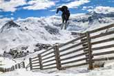 Candide Thovex Defies Snow with Insane Style in Tignes, France